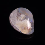 OPAL SHELL CYRENOPSIS sp. Cretaceous, Australia YOS007
