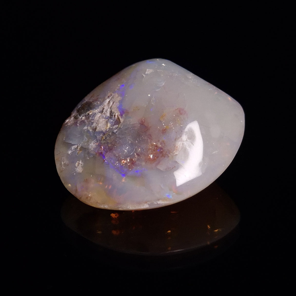 OPAL SHELL CYRENOPSIS sp. Cretaceous, Australia YOS008