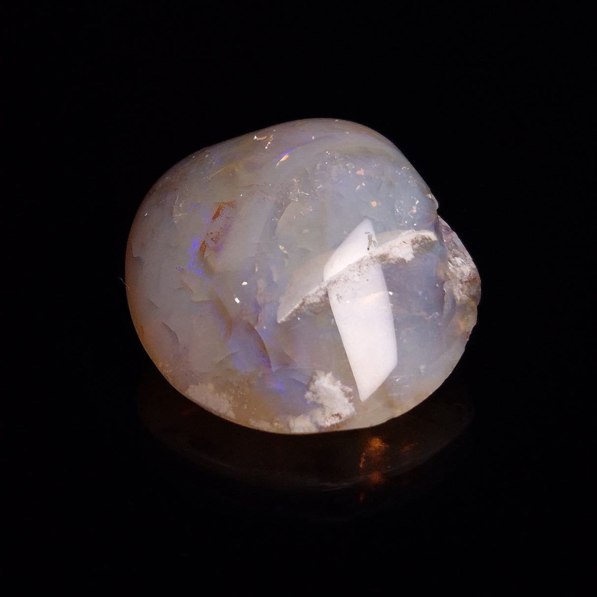 OPAL SHELL CYRENOPSIS sp. Cretaceous, Australia YOS008
