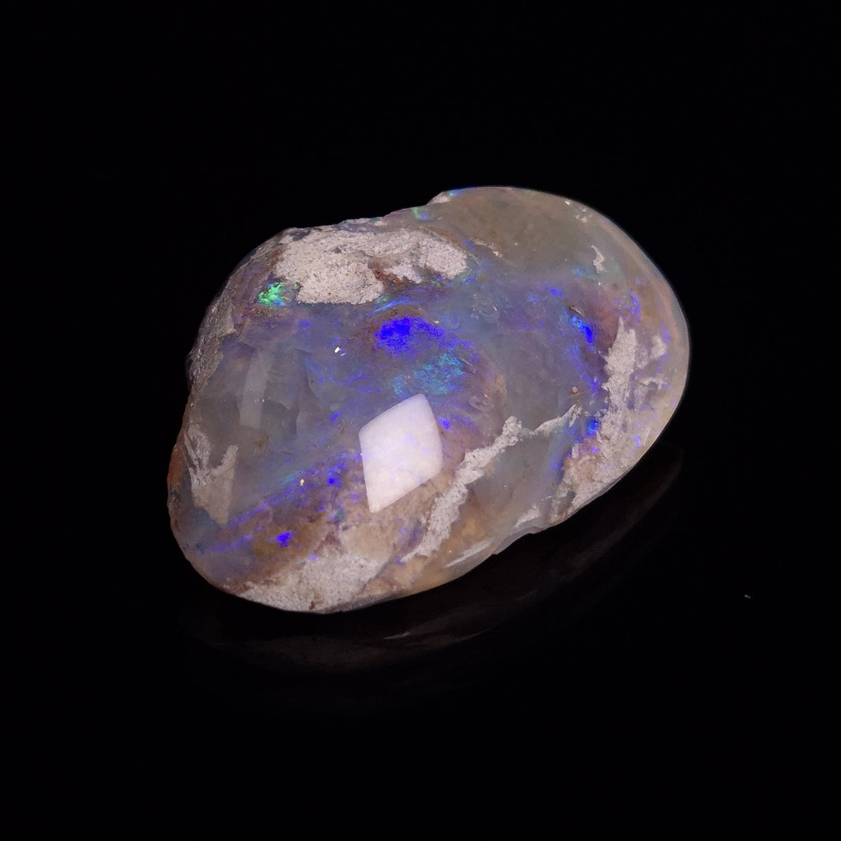 OPAL SHELL CYRENOPSIS sp. Cretaceous, Australia YOS009
