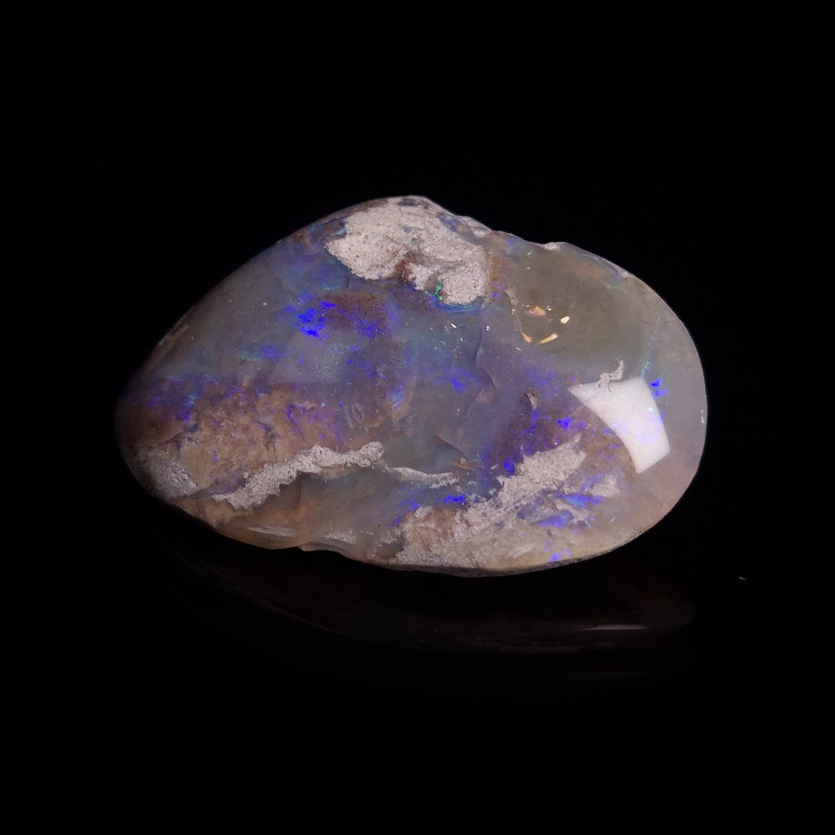OPAL SHELL CYRENOPSIS sp. Cretaceous, Australia YOS009