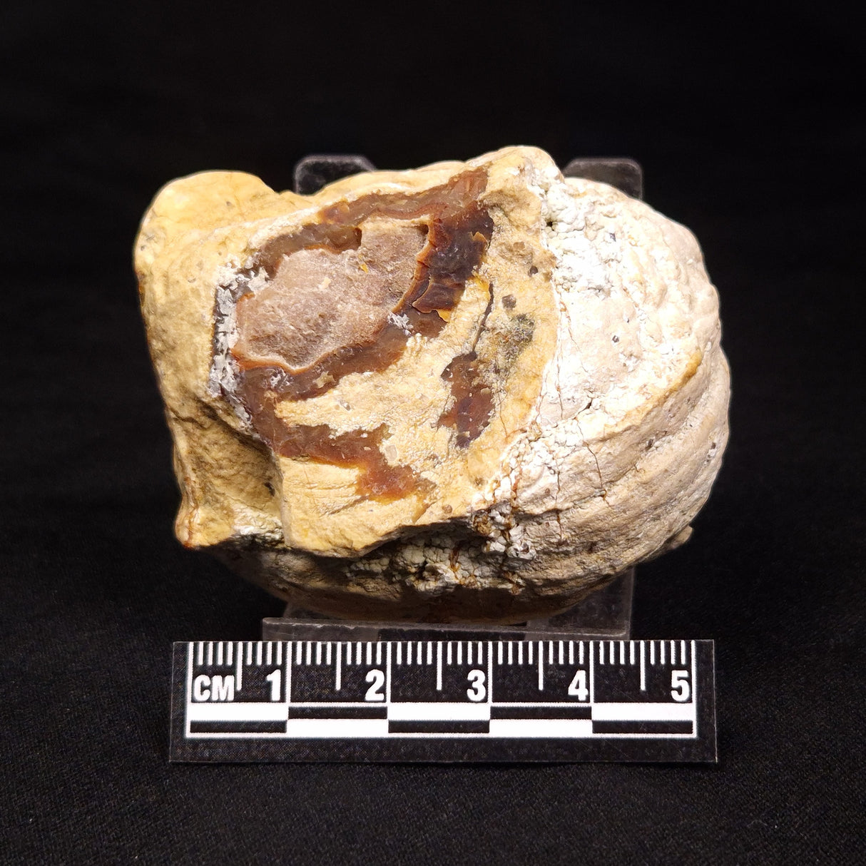 THUNDER EGG, Australia ZTE003