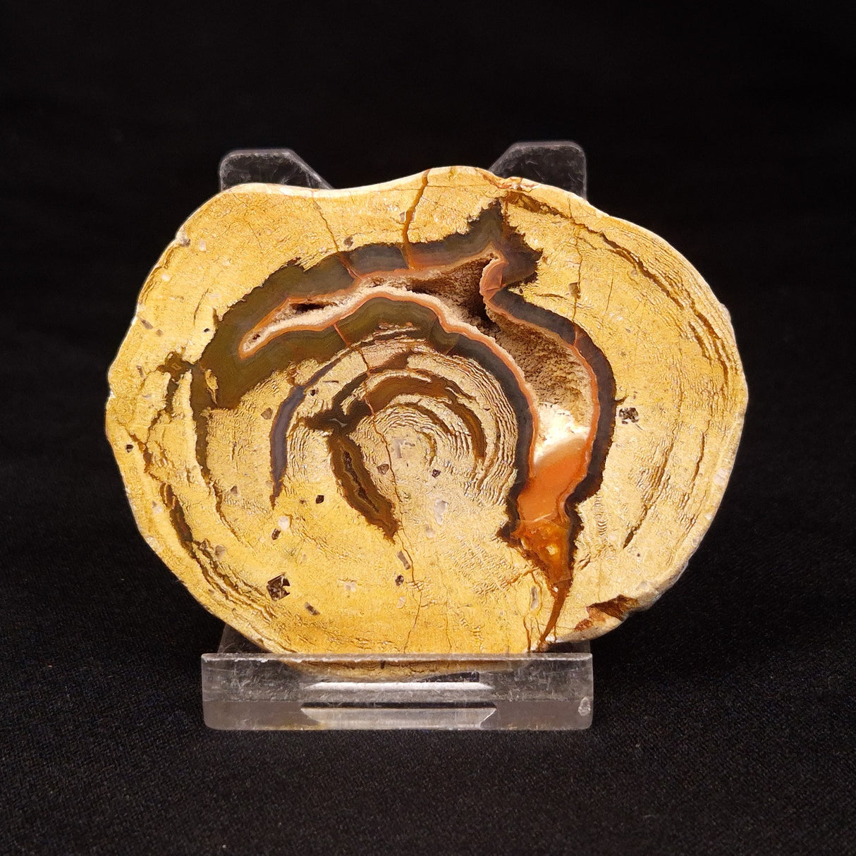 THUNDER EGG, Australia ZTE004