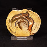 THUNDER EGG, Australia ZTE004