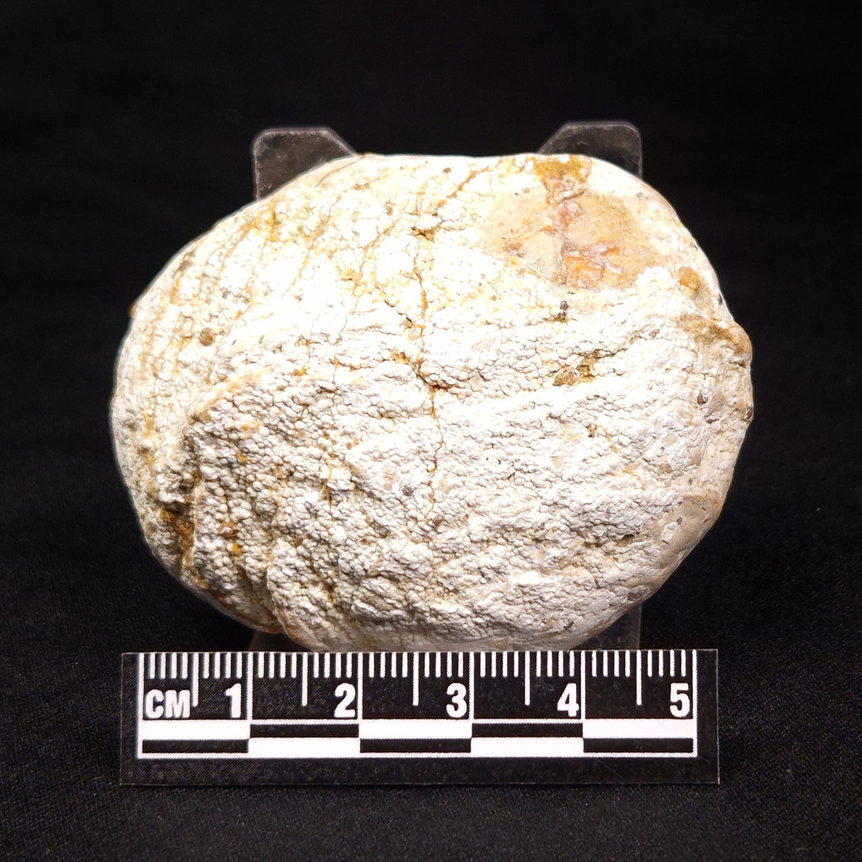 THUNDER EGG, Australia ZTE004