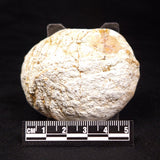 THUNDER EGG, Australia ZTE004