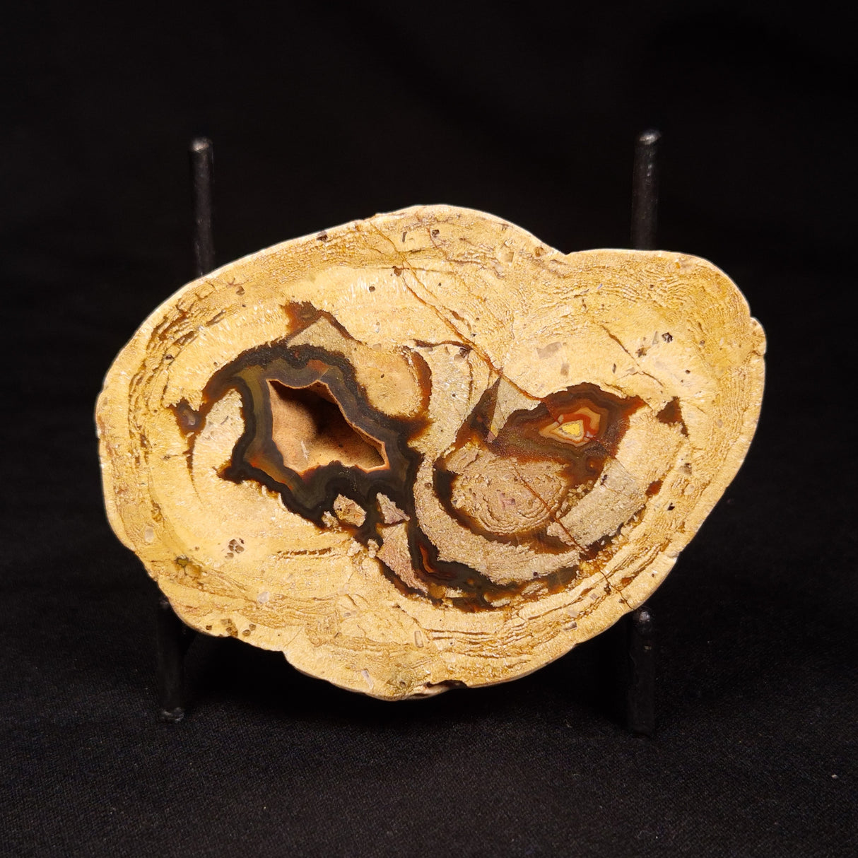 THUNDER EGG, Australia ZTE005