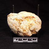 THUNDER EGG, Australia ZTE005