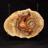 THUNDER EGG, Australia ZTE006