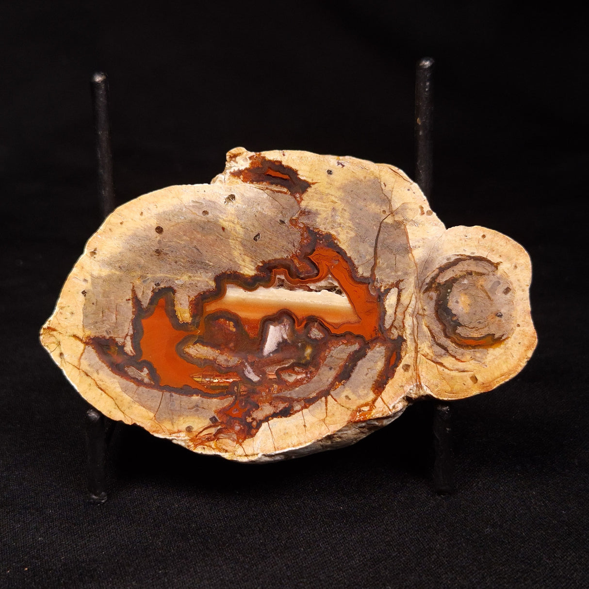 THUNDER EGG, Australia ZTE007