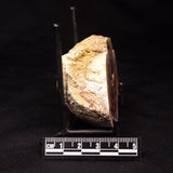 THUNDER EGG, Australia ZTE007