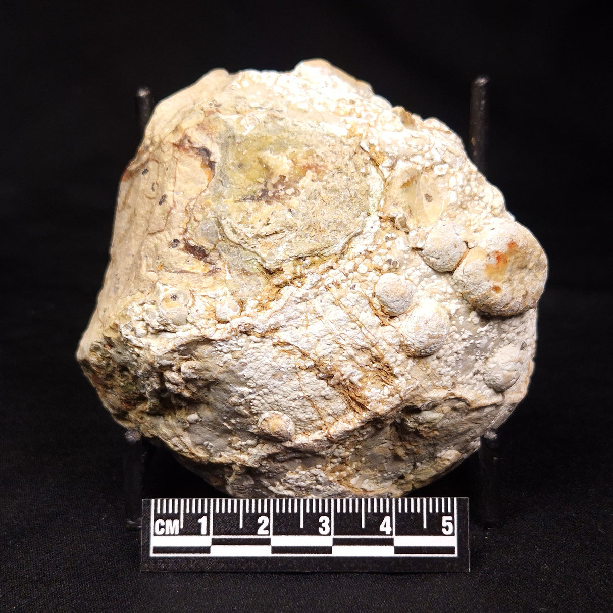 THUNDER EGG, Australia ZTE008