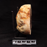 THUNDER EGG, Australia ZTE009