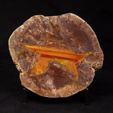 THUNDER EGG, Australia ZTE010