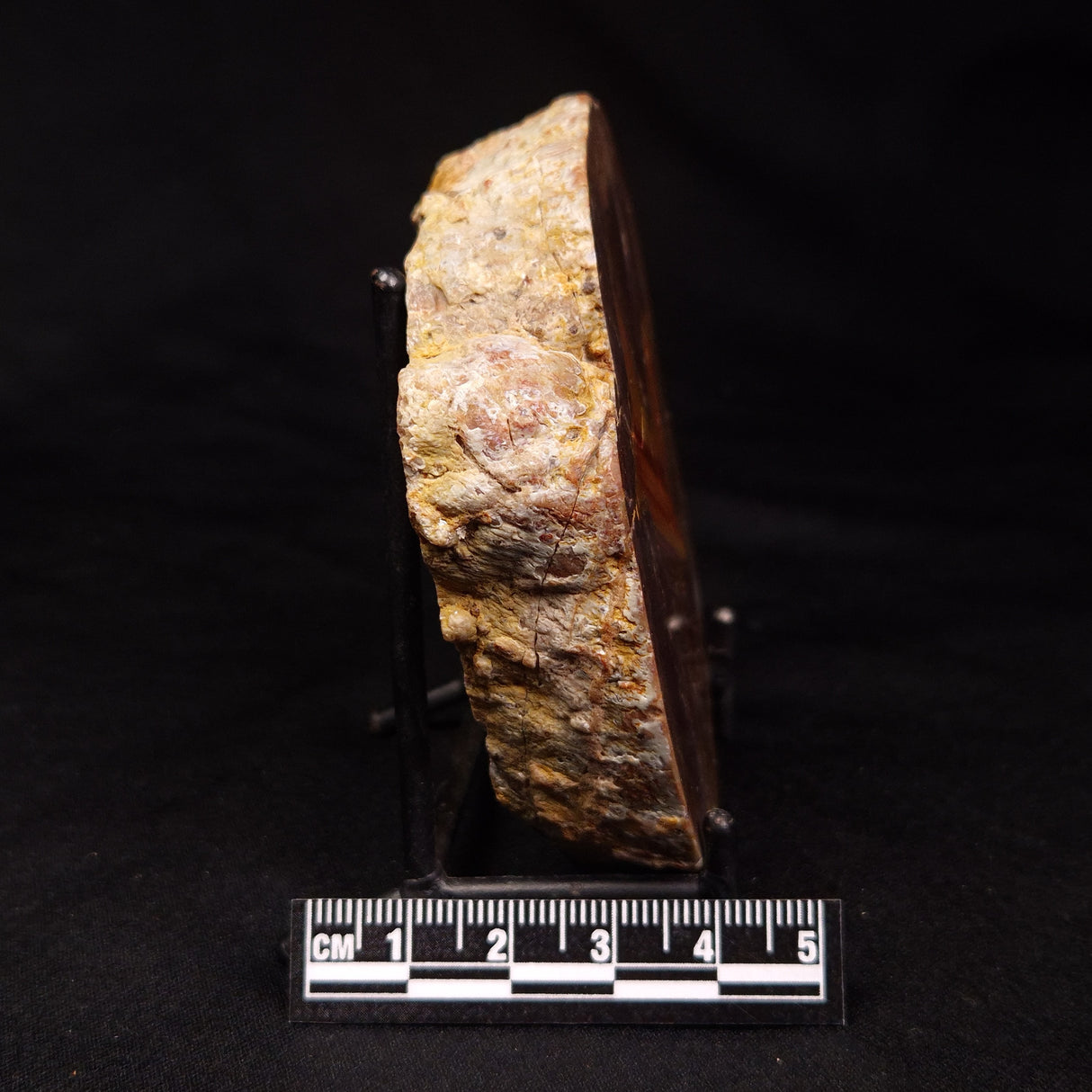 THUNDER EGG, Australia ZTE010