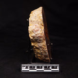 THUNDER EGG, Australia ZTE010