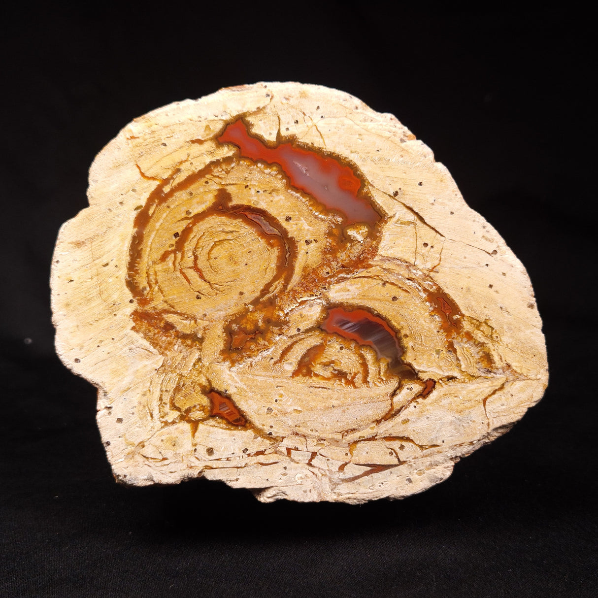 THUNDER EGG, Australia ZTE013