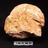 THUNDER EGG, Australia ZTE013