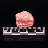 RHODOCHROSITE, Argentina XRH001