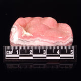 RHODOCHROSITE, Argentina XRH015