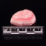 RHODOCHROSITE, Argentina XRH016