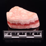 RHODOCHROSITE, Argentina XRH020