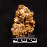CAVE MICROBIALITE, Holocene, Morocco ZCS002