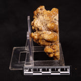 CAVE MICROBIALITE, Holocene, Morocco ZCS002