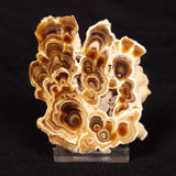 CAVE MICROBIALITE, Holocene, Morocco ZCS007