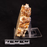 CAVE MICROBIALITE, Holocene, Morocco ZCS012