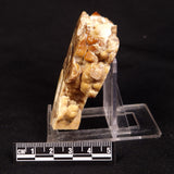 CAVE MICROBIALITE, Holocene, Morocco ZCS005