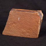 HORODYSKIA WILLIAMSII, Mesoproterozoic, Australia XHW007