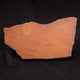 Fossils- Australia