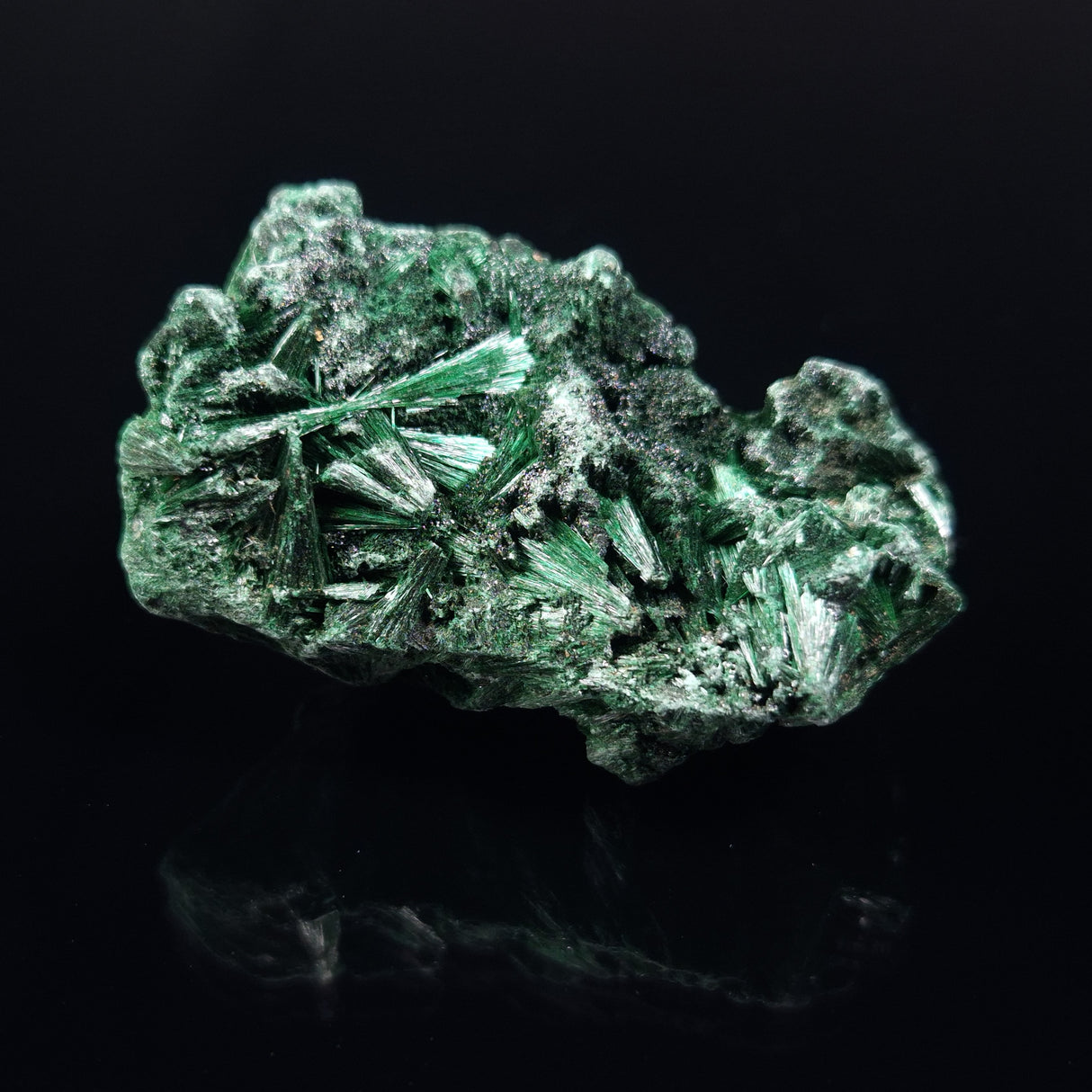 VELVET MALACHITE, Democratic Republic of Congo XVM001
