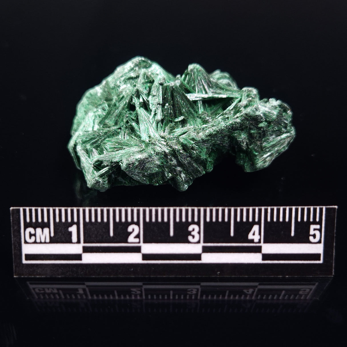 VELVET MALACHITE, Democratic Republic of Congo XVM001