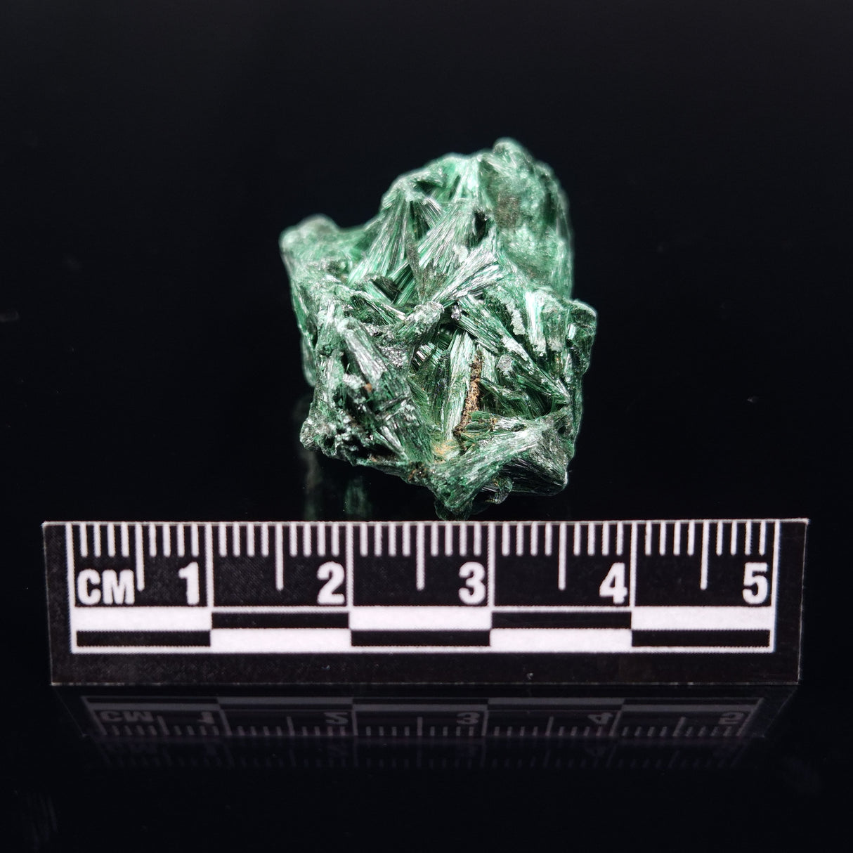 VELVET MALACHITE, Democratic Republic of Congo XVM001