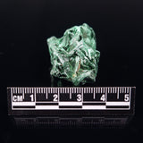 VELVET MALACHITE, Democratic Republic of Congo XVM001
