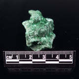 VELVET MALACHITE, Democratic Republic of Congo XVM002