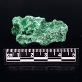 VELVET MALACHITE, Democratic Republic of Congo XVM002