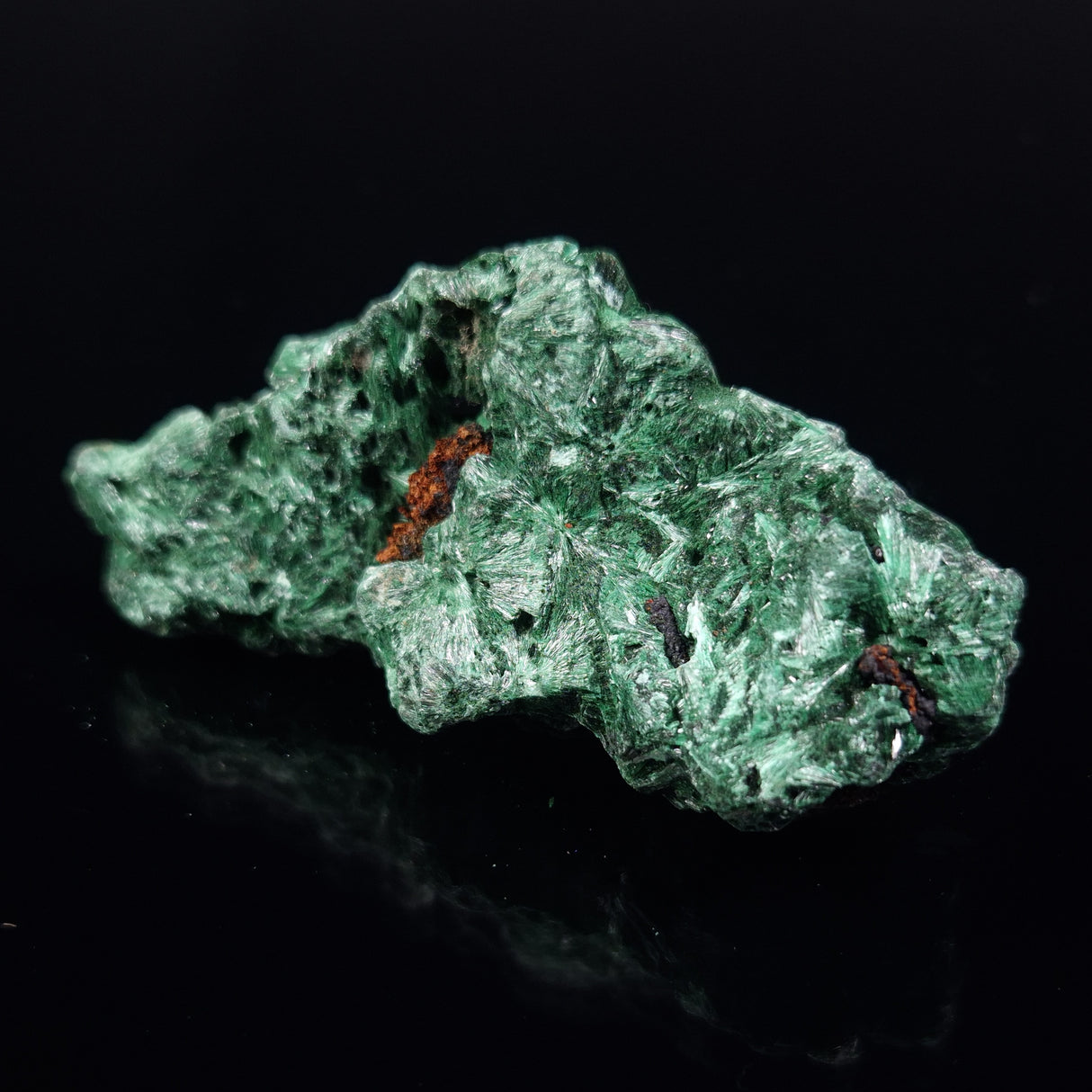 VELVET MALACHITE, Democratic Republic of Congo XVM003