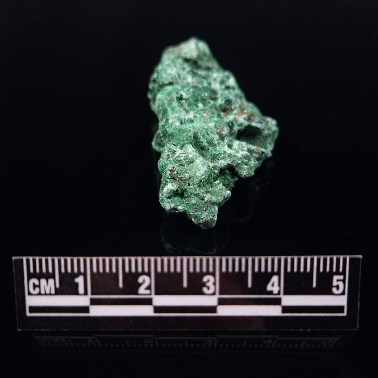 VELVET MALACHITE, Democratic Republic of Congo XVM003