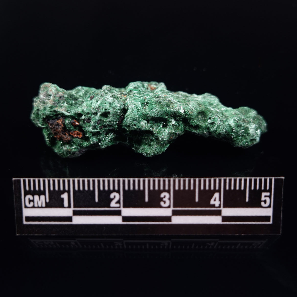 VELVET MALACHITE, Democratic Republic of Congo XVM003