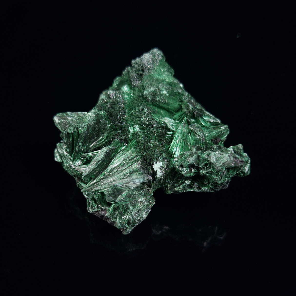 VELVET MALACHITE, Democratic Republic of Congo XVM004
