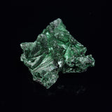 VELVET MALACHITE, Democratic Republic of Congo XVM004