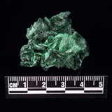 VELVET MALACHITE, Democratic Republic of Congo XVM004