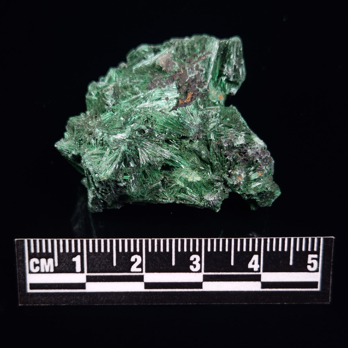 VELVET MALACHITE, Democratic Republic of Congo XVM004