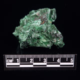 VELVET MALACHITE, Democratic Republic of Congo XVM004