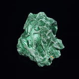 VELVET MALACHITE, Democratic Republic of Congo XVM005