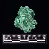 VELVET MALACHITE, Democratic Republic of Congo XVM005