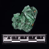 VELVET MALACHITE, Democratic Republic of Congo XVM005